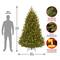 7.5ft. Pre-Lit Natural Fraser Medium Fir Artificial Christmas Tree, Clear Lights